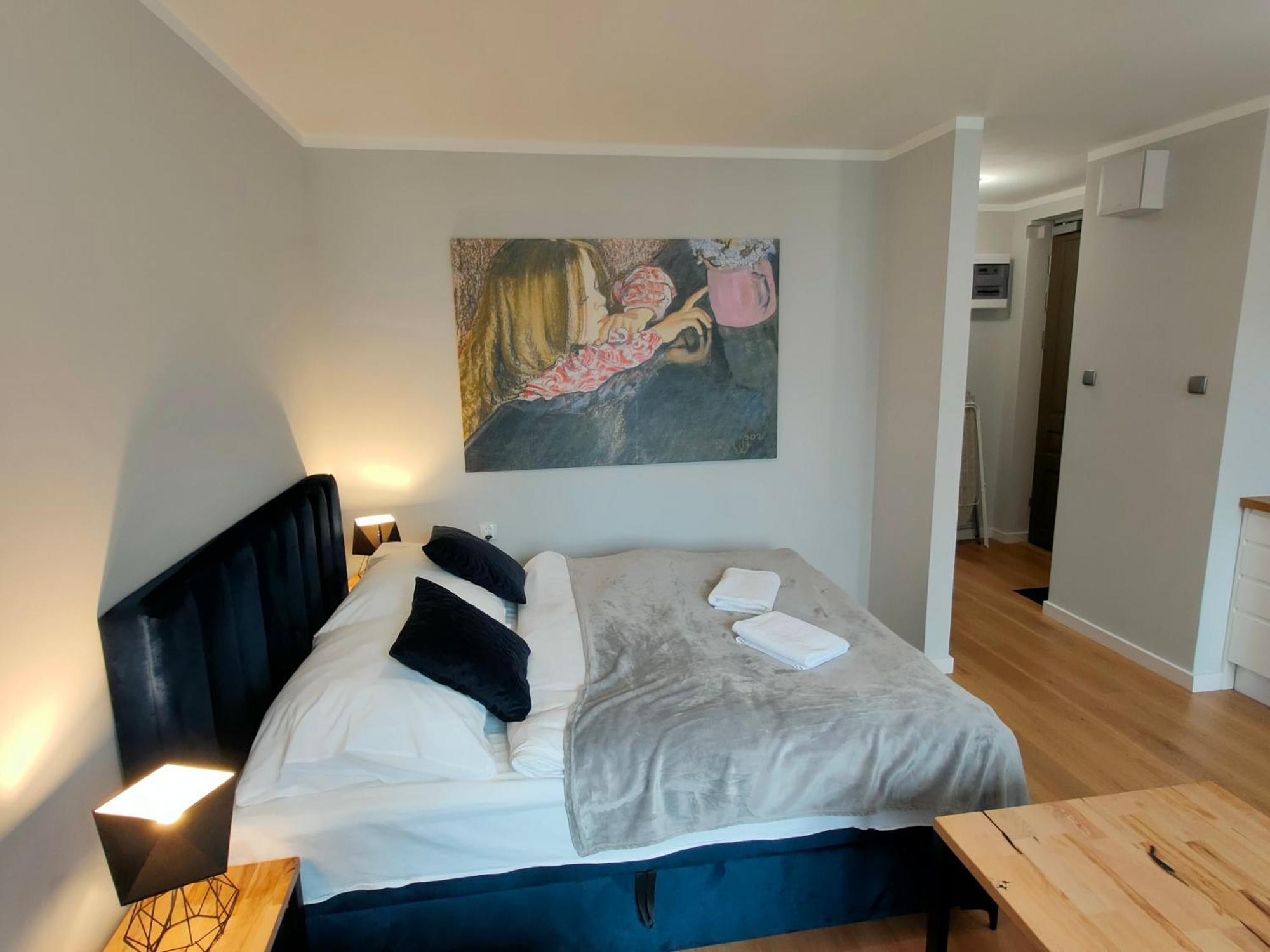 Hugo Vip Apartments Краків Екстер'єр фото